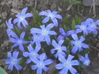 005.webp