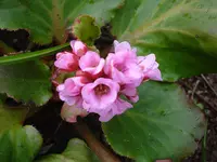 DSC04128.webp