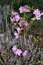013_10.webp