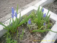 JD800014.webp