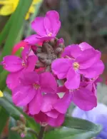 Zwischenablage12.webp