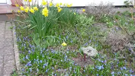 K800_Blau -gelb.webp