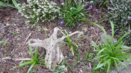 K800_Frühling 008.webp