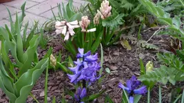 K800_Frühling 013.webp
