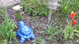 K800_Blaue eMMA.webp