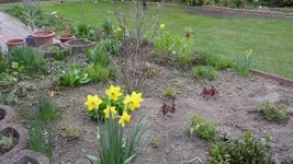 K800_Terassenbeet.webp