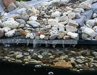 Bachlauf als natürlicher Wasseraufbereiter_klein.webp