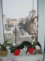 DSCF3959.webp