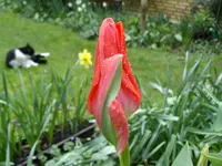 IMGP1167.webp