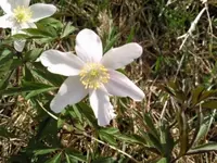 Foto0439.webp