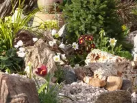 P1100594_600_450.webp