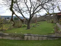 Garten April 1 038.webp