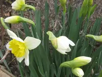 025.webp