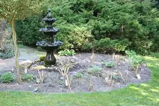 Kopie IMG 1165.webp Kopie IMG 1165.webp