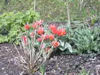 11-04-2010 004.webp