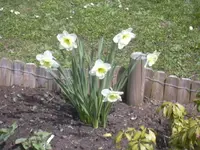 11-04-2010 010.webp