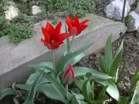11-04-2010 015.webp