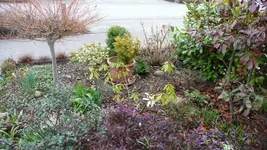 K800_014.webp