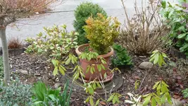 K800_015.webp