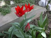 11-04-2010 016.webp