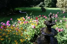 IMG_1392 - Kopie.webp