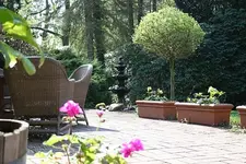 Kopie IMG 1087.webp