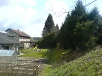 DSC01509.webp