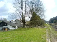 DSC01510.webp