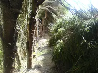 DSC01512.webp