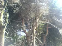 DSC01513.webp