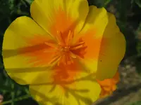 IMG_0678_1024x768.webp