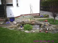 Teich.webp