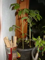 DSCF0047_Bildgröße ändern.webp