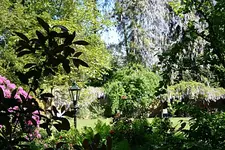 IMG_1185 - Kopie.webp