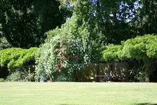 IMG_1208 - Kopie-Kopie.webp