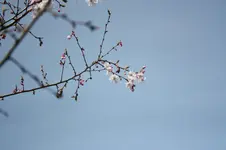 IMG_1186.webp
