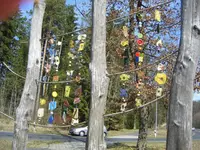 DSCF6539.webp