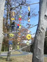 DSCF6534.webp