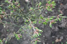 IMG_1216.webp