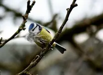 comp_comp_IMG_74752.webp