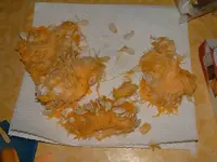 DSCF0001-1.webp