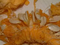 DSCF0002-1.webp