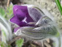 IMG_3486_1024x768.webp