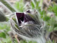 IMG_3487_1024x768.webp