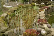 Filterbecken.webp