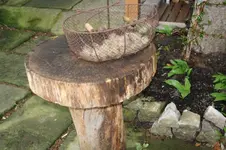 Holztisch (2).webp