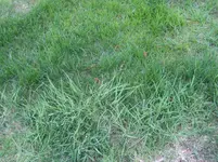 IMG_4683.webp