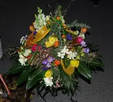 Strauss10042010.webp