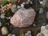 P1100619_600_450.webp