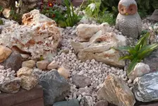 P1100620_600_403.webp